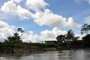 Klimaat Peru Tambopata reservaat