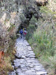 Inca Trail Peru. Wandelend door de dichte vegetatie