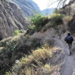Trekking Colca Canyon
