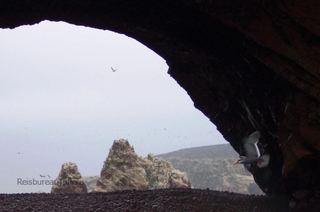 Doorkijkje bij de Ballestas Eilanden