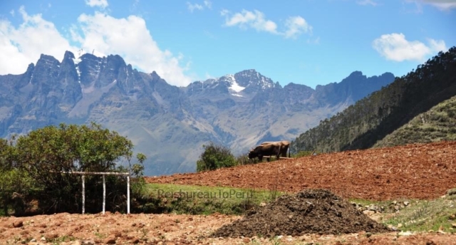 Valle Sagrado de los Inca's