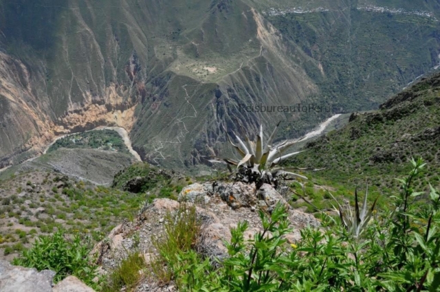 Bovenaanzicht Colca Canyon