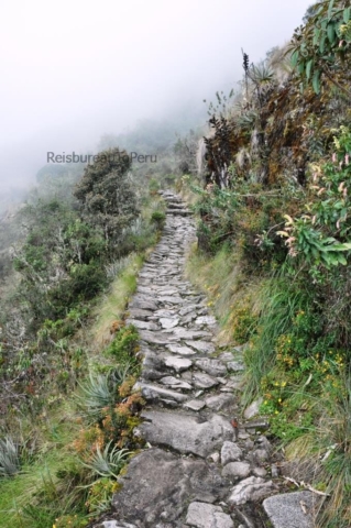 Typisch paadje Inca Trail