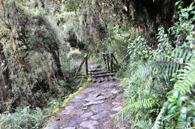 Houten bruggetje Inca Trail