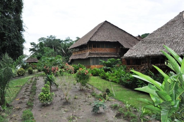 Hoofdgebouwen Eco Amazonia Lodge